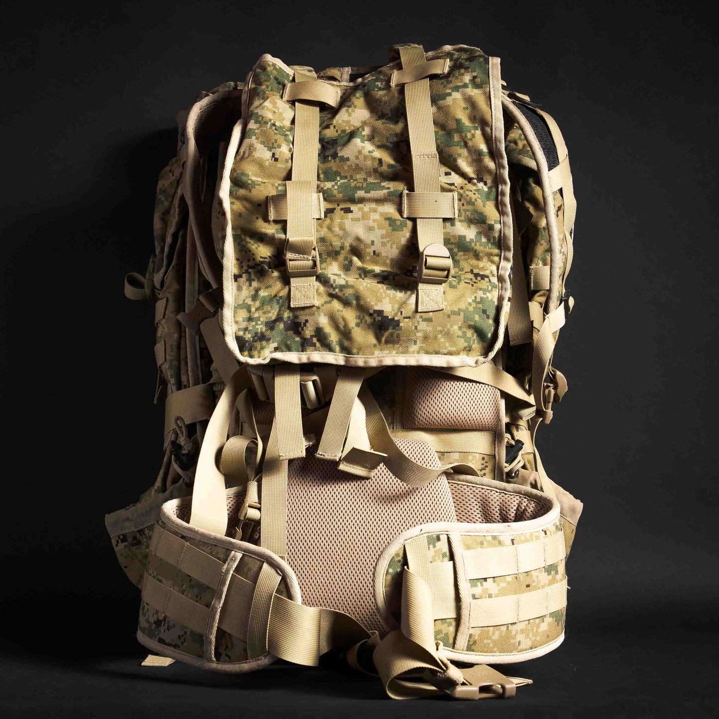Eberlestock Operator Ruck AOR2