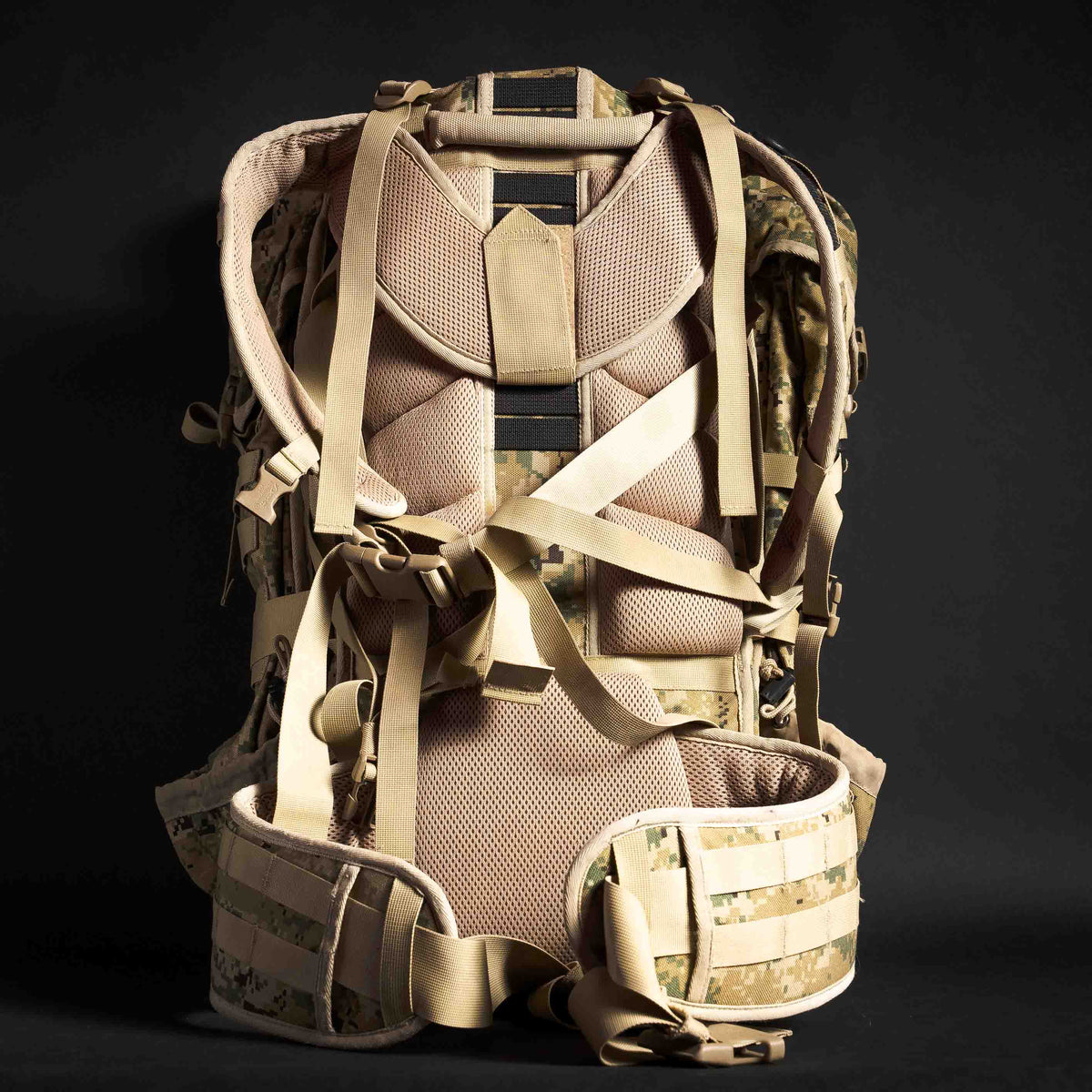Modular Ruck Frame Eberlestock Eberlestock Operator Ruck AOR2 – OSG